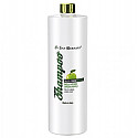 Iv San Bernard Green Apple Shampoo - SLS Free, 300 ml