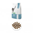 Natures Protection Kitten - 18kg  sausā barība kaķēniem līdz 1 gada vecumam, grūsnām un laktējošām kaķenēm.