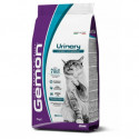 Gemon Cat Breeder Adult Tuncis & Salmon 20kg - pieaugušiem kaķiem, ar tunci un lasi