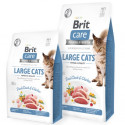 Brit Care Cat GF Large Cats - 2kg sausā barība bez graudiem pieaugušiem lielo šķirņu kaķiem Pīle, vistas gaļa BRIT CARE