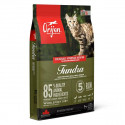 ORIJEN Cat & Kitten Tundra - 1.8 kg sausa barība visu šķirņu kaķiem ar pīles, arktikas gaļas, foreles, brieža gaļas, jēra un veselas siļķes.