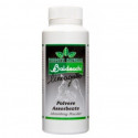 Baldecchi Absorbing Powder - 90gr absorbējošs pulveris