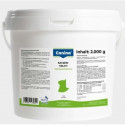 Canina Kitty Milk Katzenmilch  2kg piena aizvietotājs kaķēniem