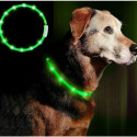 Anicoll LED Collar for Dogs and Cats Green - suņiem un kaķiem zaļš